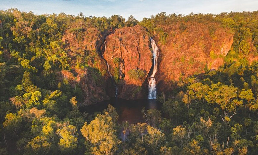 Image 11: Litchfield National Park Waterfalls and Wildlife Tour from Darwin