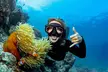 Great Barrier Reef Full Day Tour from Cairns - Image 4