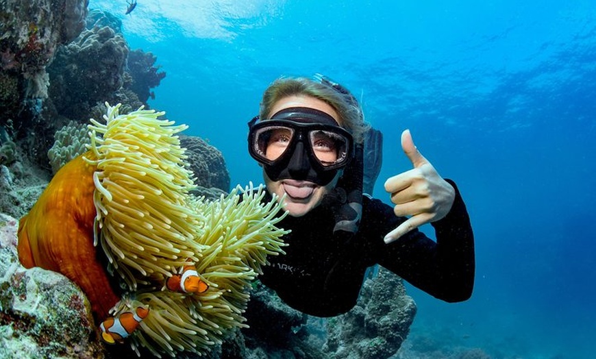 Image 4: Great Barrier Reef Full Day Tour from Cairns