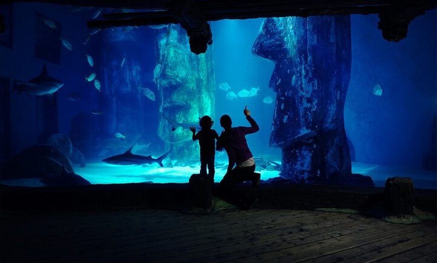 Image 11: Combo Ticket: Madame Tussauds & SEA LIFE London Aquarium