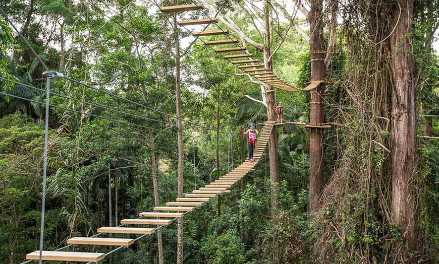 Image 6: Sunshine Coast Adventure Park TreeTop Challenge