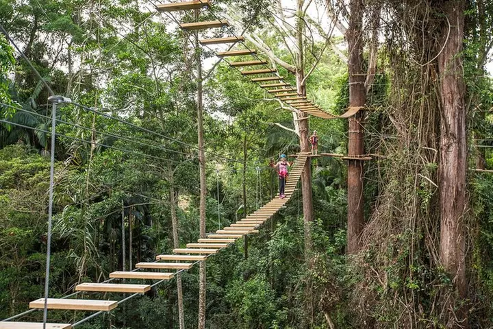 Sunshine Coast Adventure Park TreeTop Challenge - Primary Image