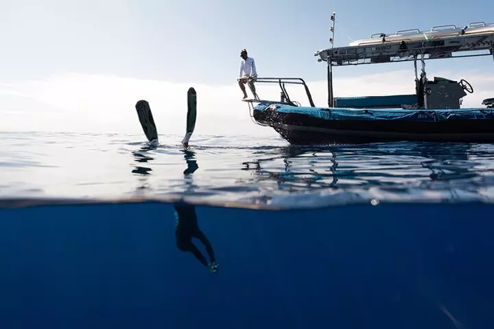 Private Kealakekua Bay Snorkel with Dolphin Watch