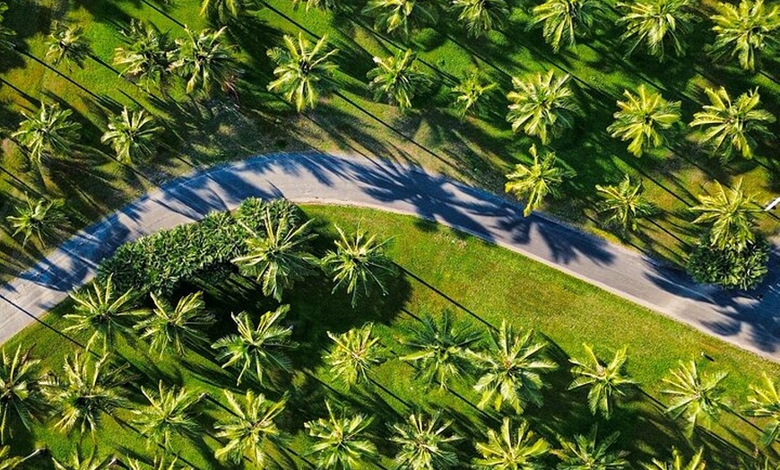 Image 14: Private Guided Tour in Port Douglas and Surrounds