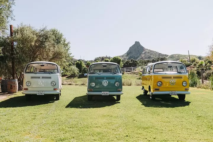 Malibu: Vintage VW Bus and Vineyard Tour - Second Medium