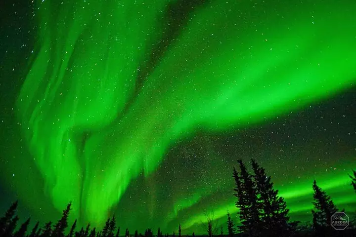 SkyChase™ Northern Lights Experience