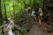 Amazing Daintree Rainforest Tour Waterfall Hike, Lunch, Swim & Crocodile Cruise - Image 5