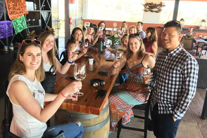 Luxury Private Wine Tasting Tour to Guadalupe Valley from San Diego