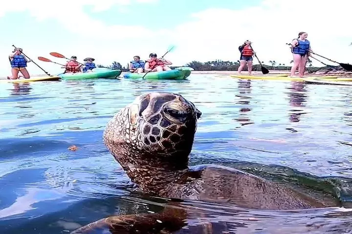 Full-Day Oahu Tour by Bus - Primary Image