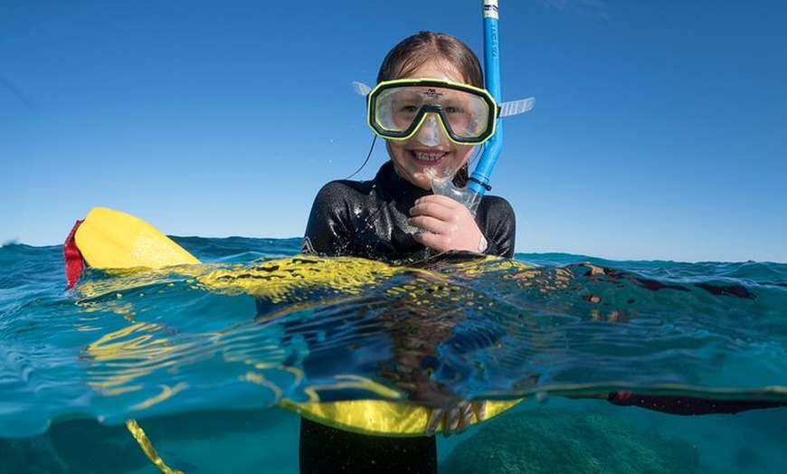 Image 21: Swim with Whale Sharks in the Ningaloo Reef: 3 Island Shark Dive