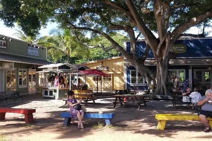 Ultimate Grand Oahu Circle Island Tour with Snorkeling and More