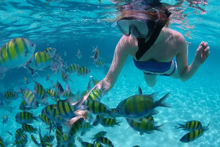 Freeport Snorkeling Peterson Cay National Park and Hotel Day Pass - Primary Image