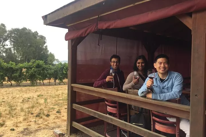 Small-Group Wine Country Tour from San Francisco with Tastings