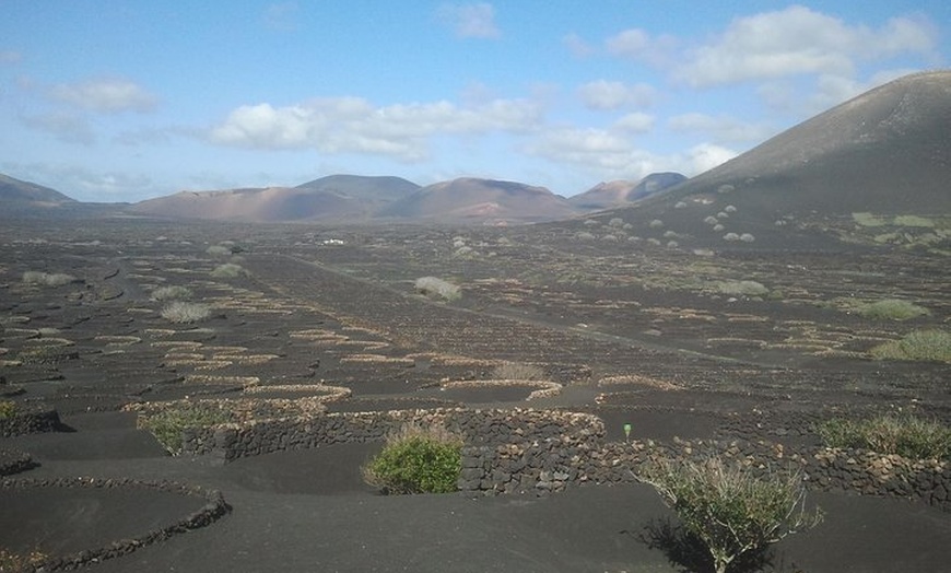Image 3: Recorrido a pie de medio día para grupos pequeños por los viñedos d...