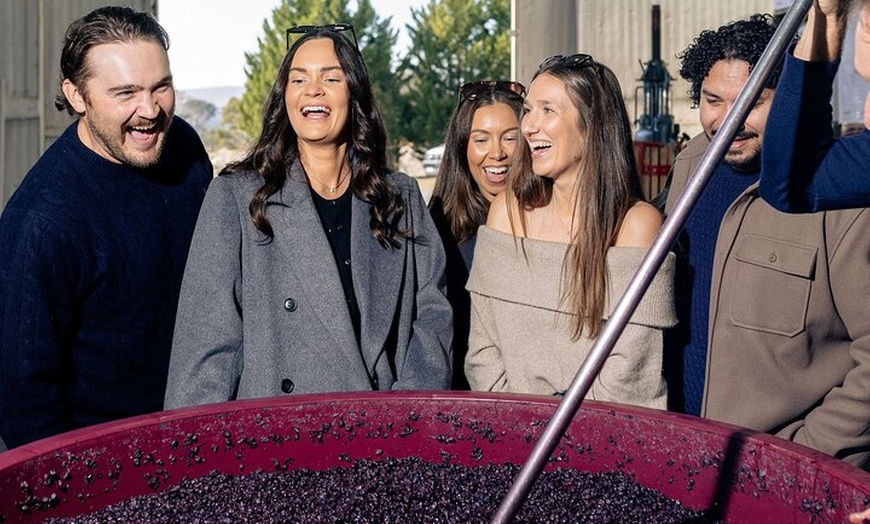 Image 3: Wine Tour From Canberra to Murrumbateman - Hop on Hop Off