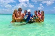 Swimming Pigs with pickup: Pigs can't fly, but they do Swim! - Second Medium