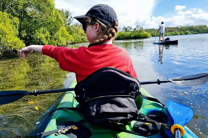 Noosa Everglade Kayak -South/Noosa End - Searching for Stingrays! - Primary Image