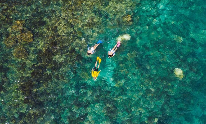 Image 13: Aquascene Magnetic Island Discovery Tour