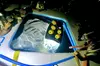Manta Ray Night Snorkel Tour in Kailua-Kona, Big Island