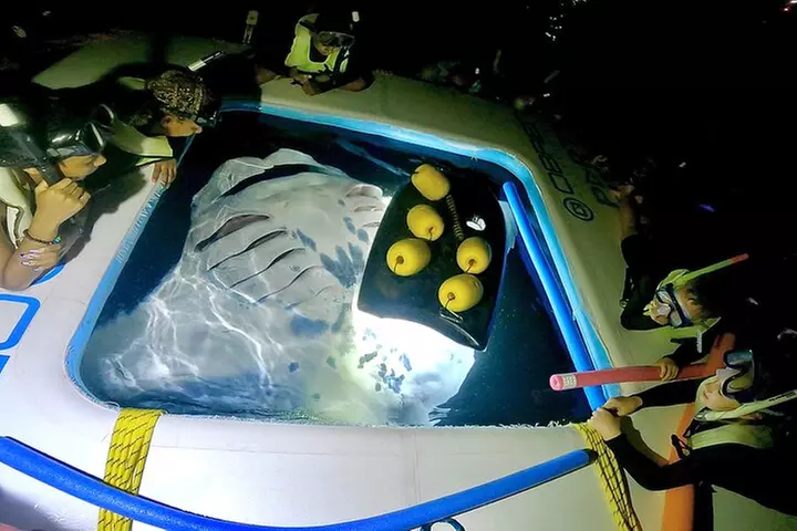 Manta Ray Night Snorkel Tour in Kailua-Kona, Big Island - Primary Image