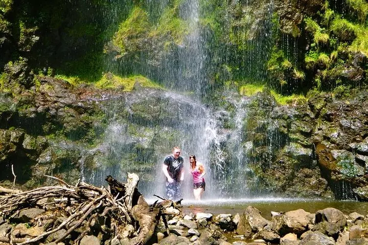 Maui: Famous Road to Hana Waterfalls and Lunch by Mercedes Van