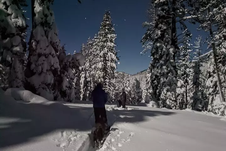 Tahoe National Forest Moonlight Snowshoe Tour Under a Starry Sky