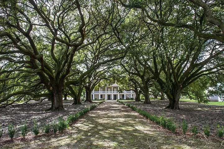 Whitney Plantation Tour with Transportation from New Orleans - Primary Image