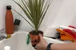 Paint and Plant: The Ultimate Plant Therapy Experience - Image 4
