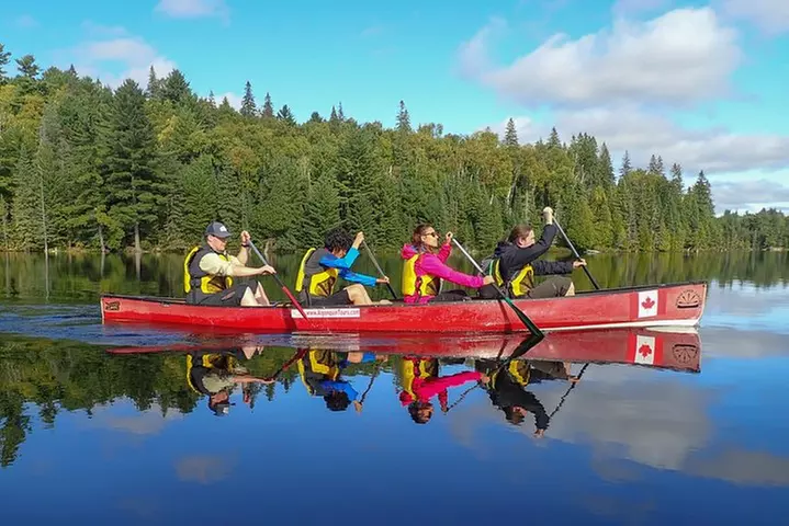 6 Hour Algonquin Park Canoe Trip - Primary Image