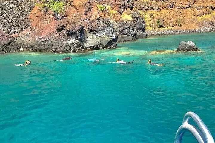 Dolphin, Sea Cave & Captain Cook Snorkel Combo in Kealakekua Bay