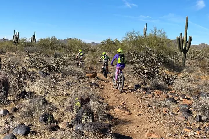 2 Hour Sonoran Desert Private Guided Mountain Bike Tour - Primary Image