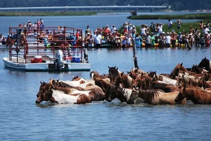 Famous Chincoteague Island Pony Swim Boat and Jet Ski Rentals - Primary Image