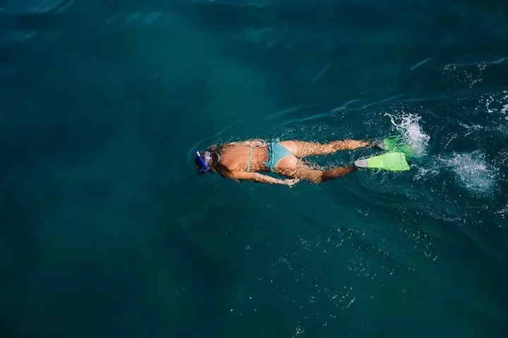 Key West Safari Eco Sandbar Tour Adventure with Snorkeling