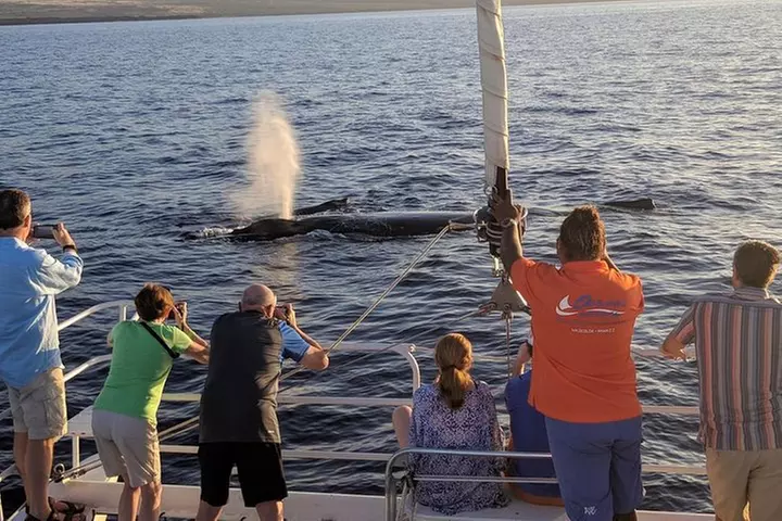 Pau Hana Sunset Cruise with the Whales - Primary Image