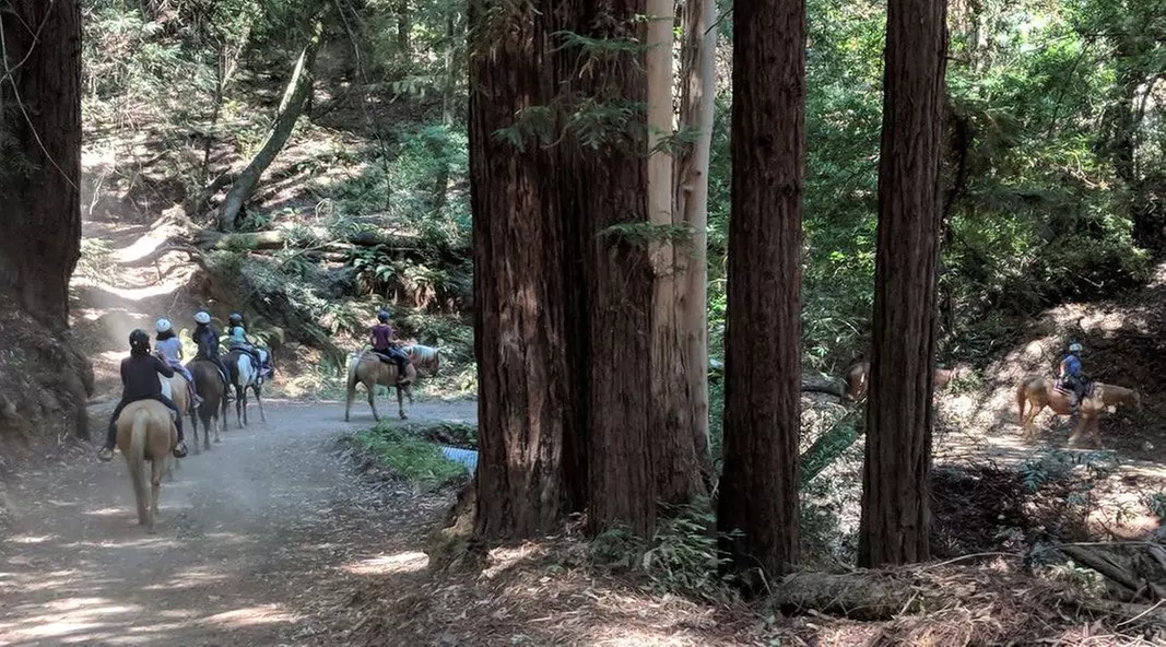 1-Hour Horseback Ride Tour at Golden Gate Park in San Francisco - Second Medium