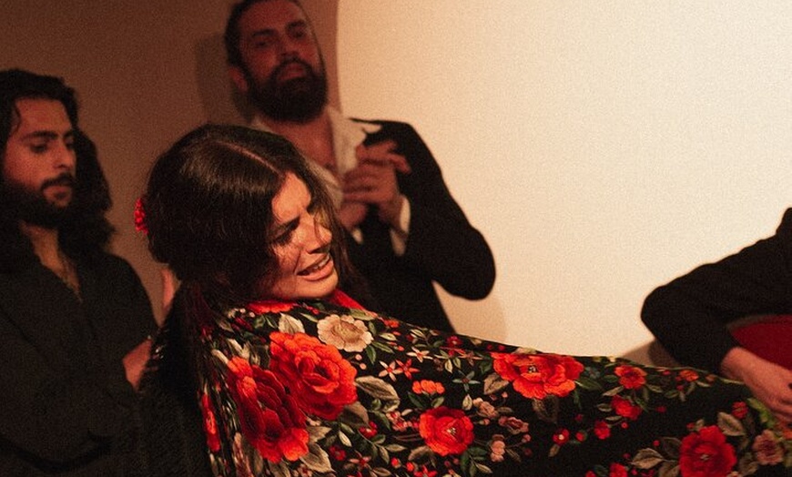 Image 20: Entrada al Centro Cultural Flamenco de Madrid