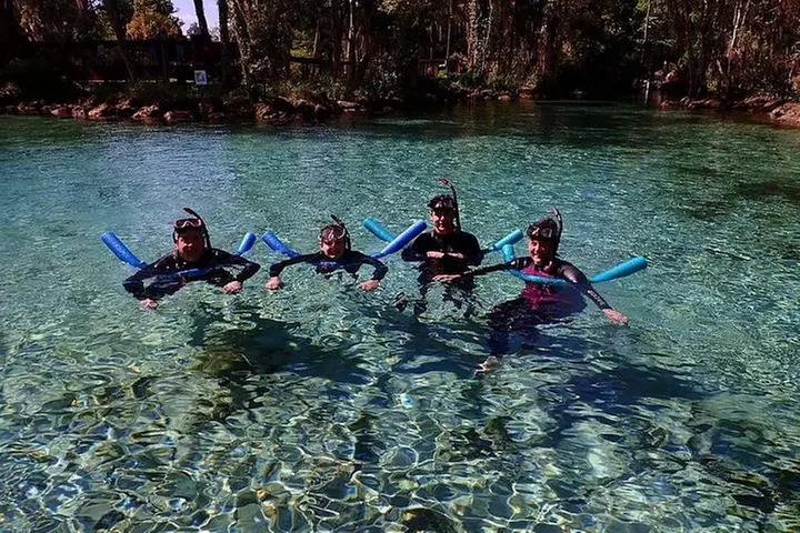 Guided Small Group Manatee Snorkeling Tour with In-Water Photographer