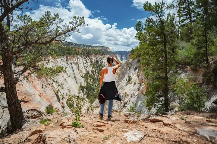 East Zion East Rim Jeep Tour