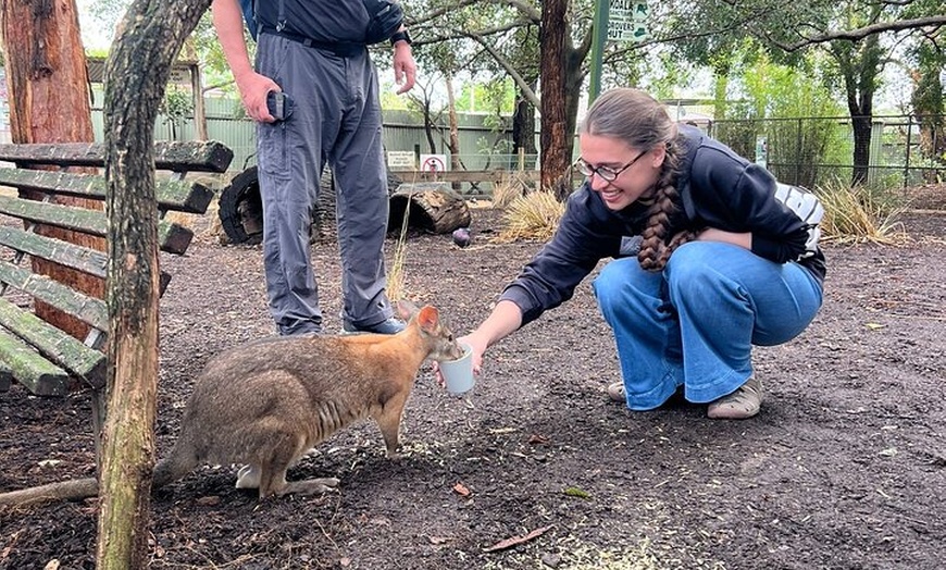 Image 12: Blue Mountains Private Tour -Scenic World Inc -Pick up & Drop off
