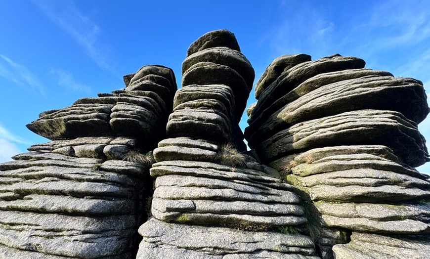 Image 9: Half day Guided Dartmoor Tour