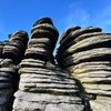 Image 9: Half day Guided Dartmoor Tour