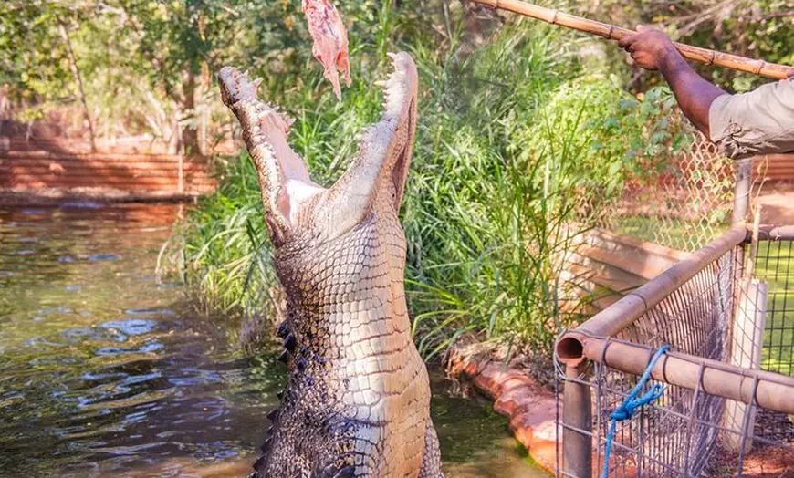 Image 12: Malcolm Douglas Crocodile Park Tour Including Transportation