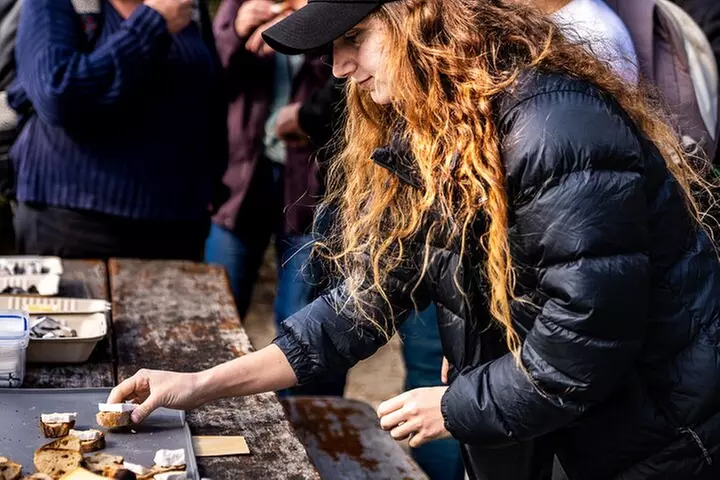 Bruny Island Food, Sightseeing, Guided Lighthouse Tour & Lunch