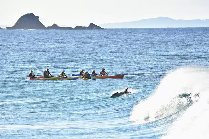 The Byron Bay Sea Kayak Tour