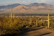 Mount Lemmon Self-Guided Driving Audio Tour - Second Medium