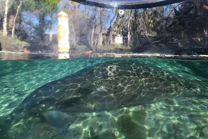 Crystal River Three Sisters Springs and Manatee Clear Kayak Tours