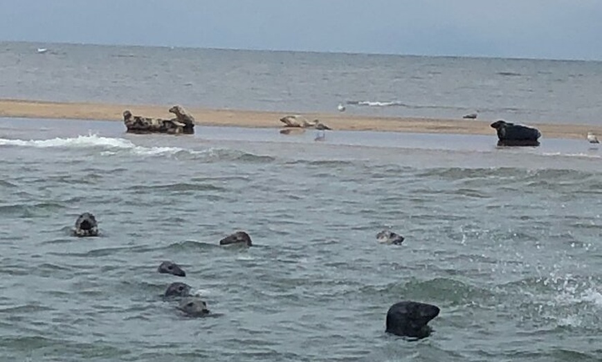 Image 1: Scroby Sands Seal Watching