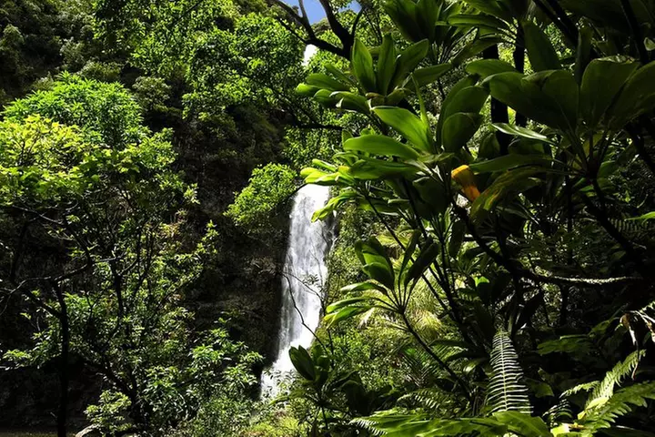 Road to Hana Luxury Limo-Van Tour with Helicopter Flight