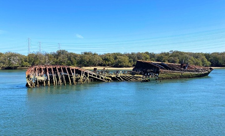 Image 8: 90 Minute Port River Dolphin & Ships Graveyard Cruise