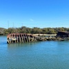 Image 8: 90 Minute Port River Dolphin & Ships Graveyard Cruise